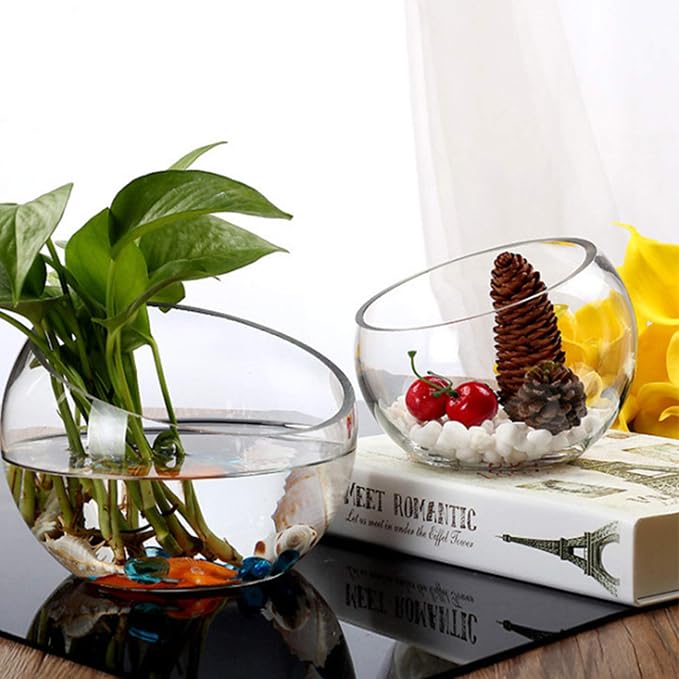 WGVI Clear Slant Cut Bowl Glass Vase, Glass Terrarium, Candy Dish, Slant Cut - Image 5
