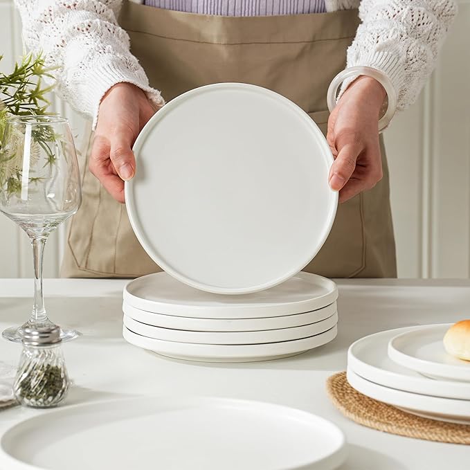 Stoneware Dinner Plates Set of 4, 10.25 Inch Plates for Steak, Pasta, Ceramic Plates Sets, Microwave Safe, Dishwasher Safe, Versatile for All Seasons, Matte White