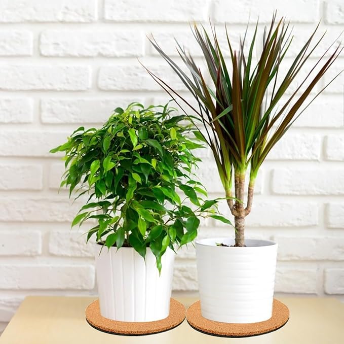 3 Pieces Cork Plant Coasters, 8 Inch Cork Plant Mats, Plant Coasters for House Plants Indoors (Nude & Black)