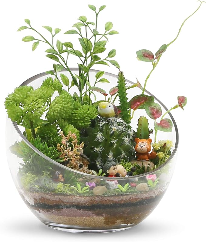 WGVI Clear Slant Cut Bowl Glass Vase, Glass Terrarium, Candy Dish, Slant Cut - Image 4
