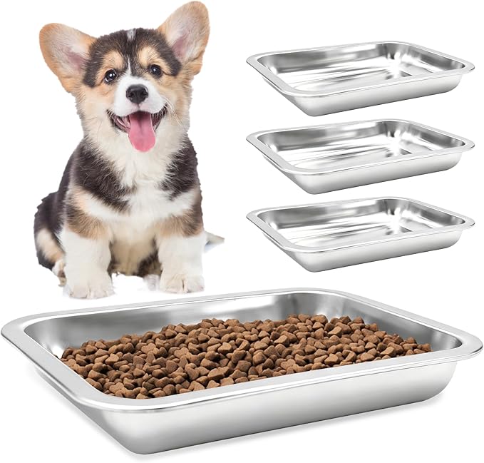 Fhiny 4 PCS Stainless Steel Dog Bowls, Metal Shallow Puppy Bowls 10"×7.5" Indoor & Outdoor Universal Dog Food Plate Whisker Fatigue Friendly Cat Dishes Easy to Clean for Puppy Kitten Doggy 1.2" H