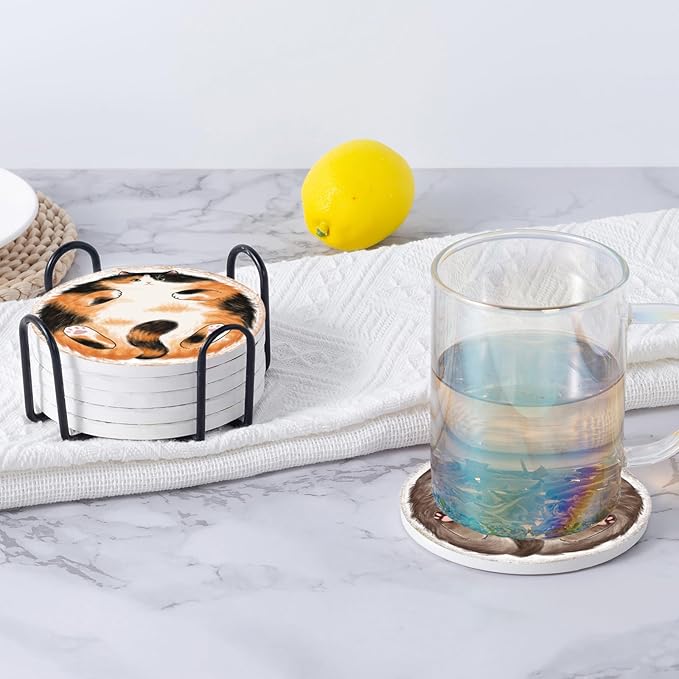 Coasters Absorbent Ceramic Coaster Drink Coasters with Cork Back Pancake Cats Set of 6 Round Coaster Non Slip for Coffee Table Wine Glass Home Bar 4 Inch, Cute
