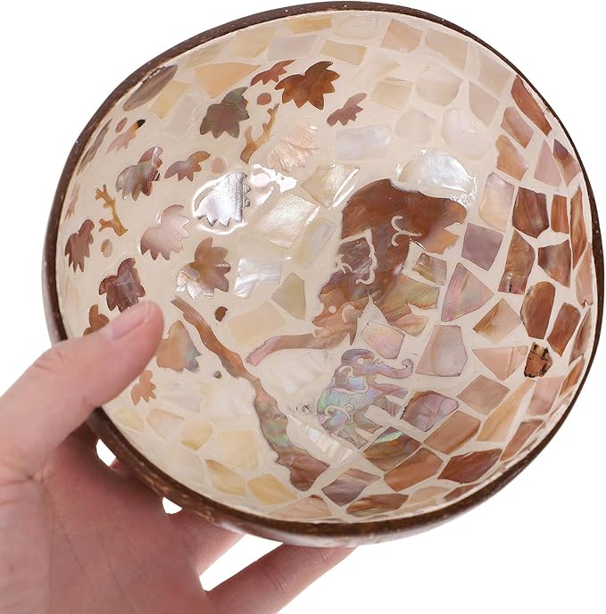 Coconut Shell Bowl Natural Handmade Key Storage Bowl Candy Dish Decorative Home Storage Plate for Living Room Tabletop Organizer