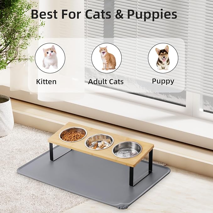 Upgraded Elevated Cat Bowls - Image 6