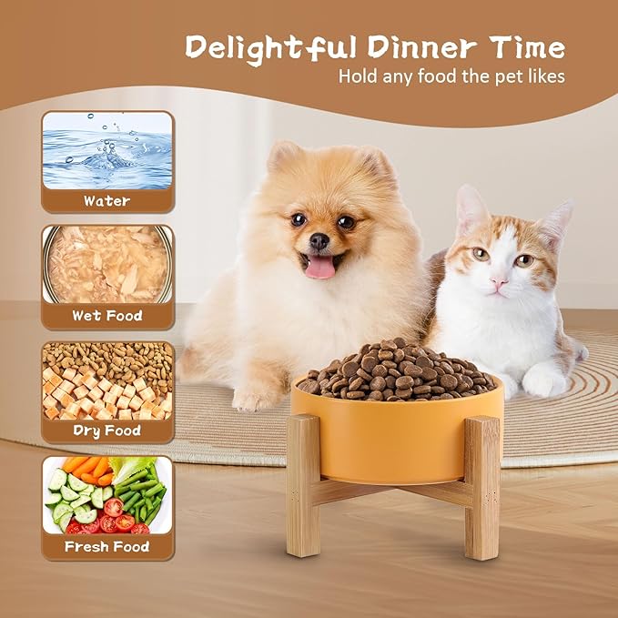 Raised Ceramic Cat Bowl - Cat Food Bowl with Bamboo Stand - Elevated Dog Food Dish for Puppies - Comfort Eating - 13.5 oz - 400 ml - Green