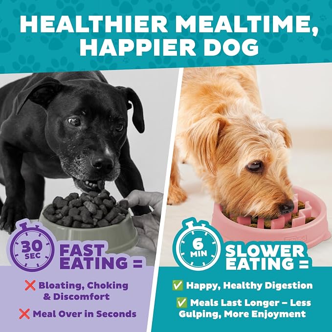 Outward Hound Fun Feeder Slo Bowl – Small 3/4-Cup Capacity, Slow Feeding - Image 6