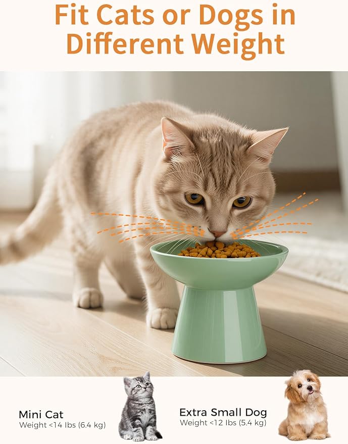 LoeJan Elevated Cat Food and Water Bowls Set, Extra Wide and Raised Ceramic - Image 5