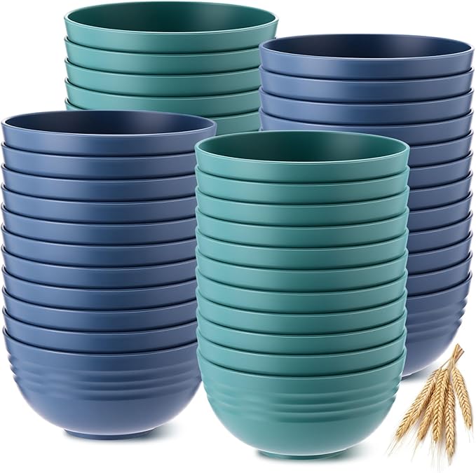 Eccliy 24 Pcs Wheat Straw Bowl Sets, Unbreakable Cereal Bowl 24 oz, Microwave and Dishwasher Safe Bowls for Cereal, Salad, Snack and Soup, Winter Style(Blue, Green)