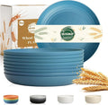 Deep Dinner Plate 8 Inch, Unbreakable Plastic Plates by BUSOKIP