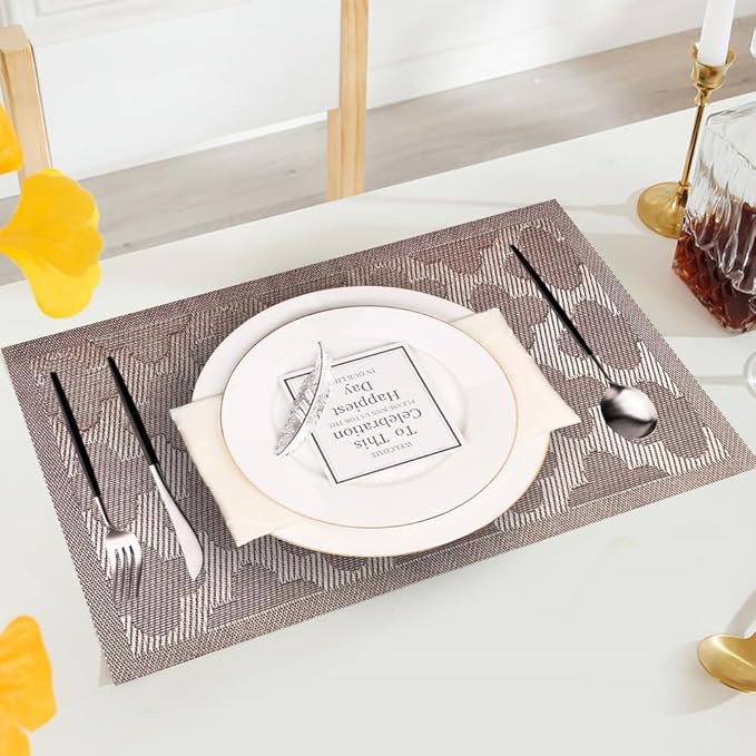 Elegant Placemats Vinyl Woven Heat-Resistant Placemats Set of 4 Washable Easy to Clean Table Mats for Dining Room and Decorate (Champagne)