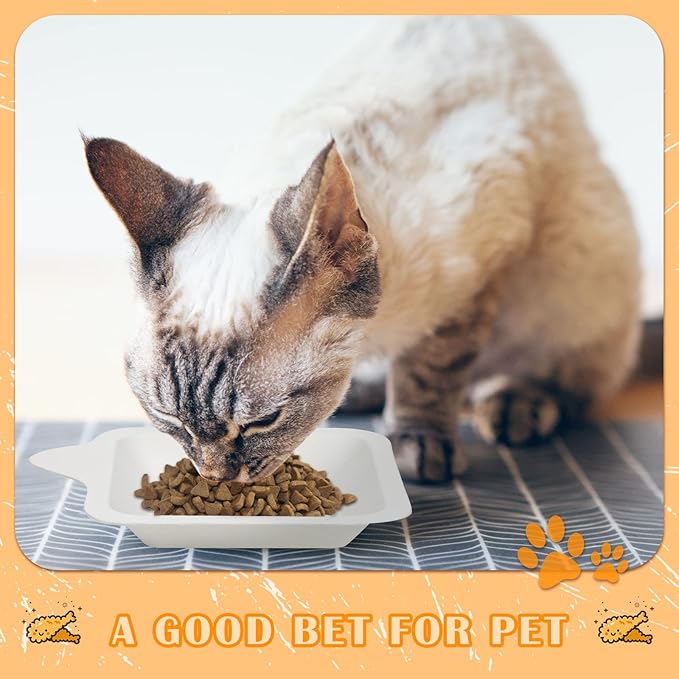Remerry 600 Pcs Small 4 Inch Paper Plates Bulk Disposable Plates Paper White Square Dessert Cake Party Snack Sugarcane Bagasse Fiber Wedding Birthday Dinner Graduation Pet Feeding (4.45 x 5.24 Inch)