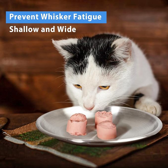 Stainless Steel Cat Dishes for Food and Water Bowls for Kittens and Baby Cats - Image 6