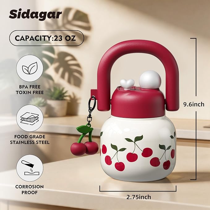 22 oz Insulated Stainless Steel Water Bottle - Image 2