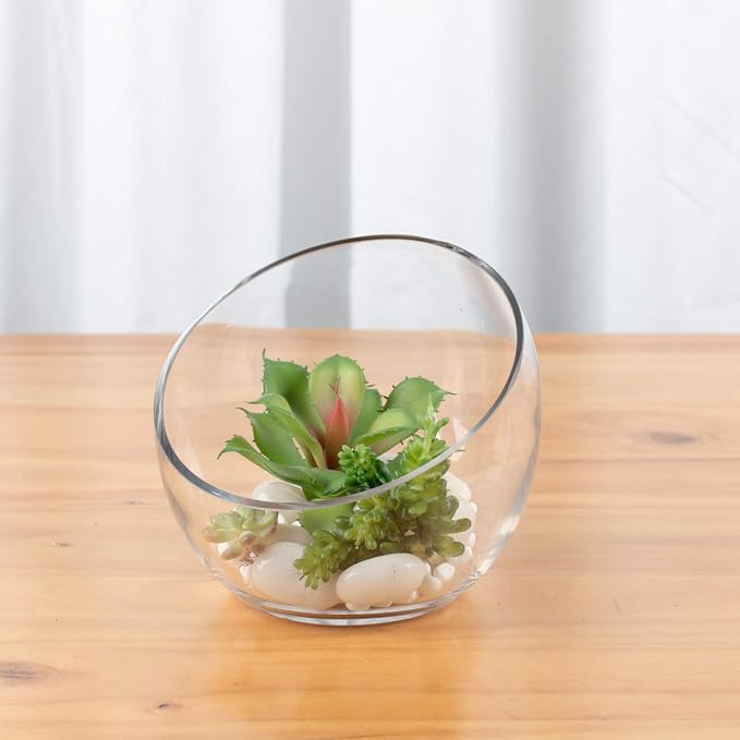 WGVI Clear Slant Cut Bowl Glass Vase, Glass Terrarium, Candy Dish, Slant Cut - Image 6