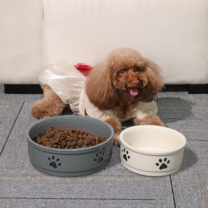 Sweejar Ceramic Dog Bowls with Paw Pattern, Dog Food Dish for Small Dogs, Porcelain Pet Bowl for Water 16 Fl Oz (Beige)