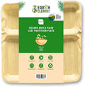 Areca Palm Leaf 11-Inch Square Plates (25 Count) – 100% Compostable, Biodegradable Like Bamboo Plates | Eco-Friendly Disposable Dinnerware | Microwave & Oven Safe