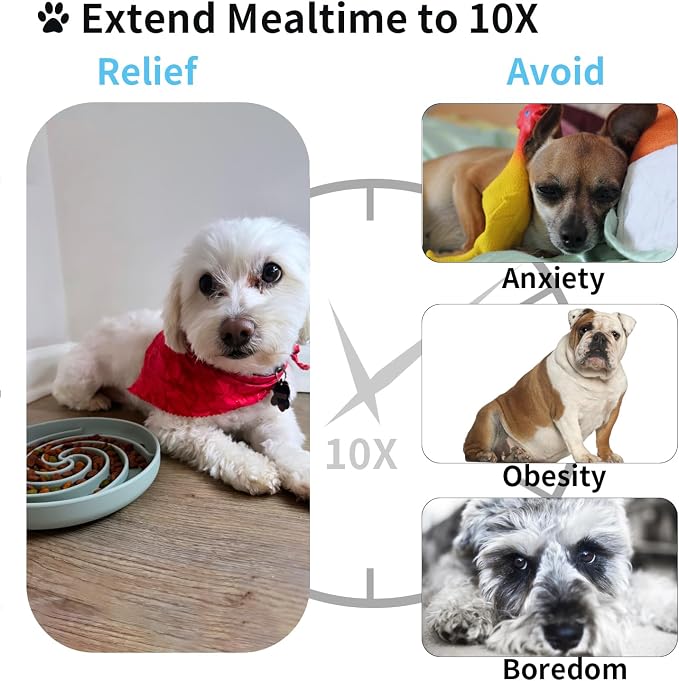 Bifeaw Slow Feeder Dog Bowls, Dishwasher Microwave Safe Silicone Puppy Puzzle - Image 3