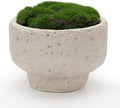 NAHARO New Moss Bowl, 6.5''Handmade Cement Bowl–Artificial Moss Centerpiece by NAHARO