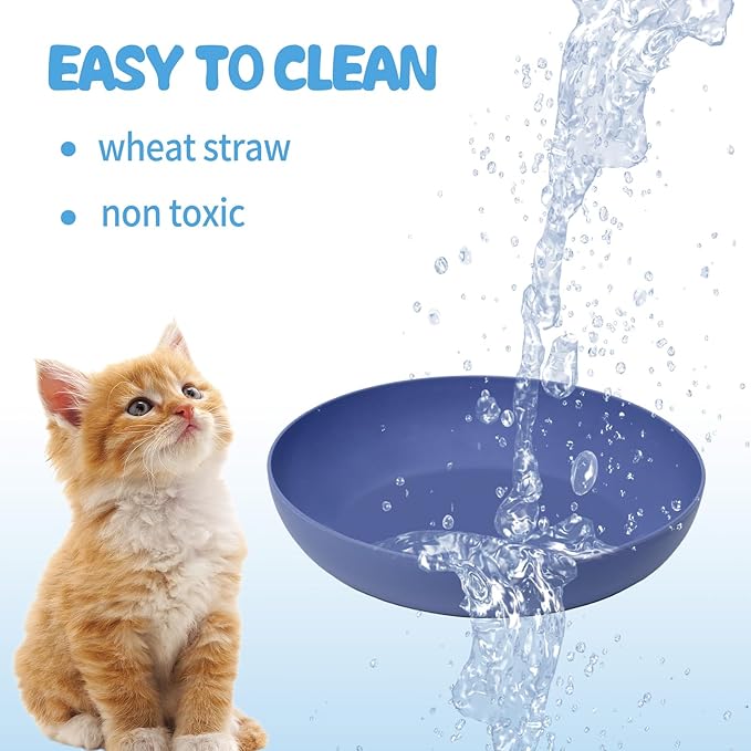 Cat Dishes Whisker Friendly, Shallow Wide Pet Food and Water Bowl, Durable - Image 4