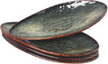 Ceramic Dinner Plates Set of 4, for Bread, Pasta, Salad, sushi - Microwave, Oven and Dishwasher Safe, Scratch Resistant durable Black reactive glaze