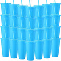 Honeydak 30 Pack Tumbler with Straw and Lid Bulk Cups by Honeydak