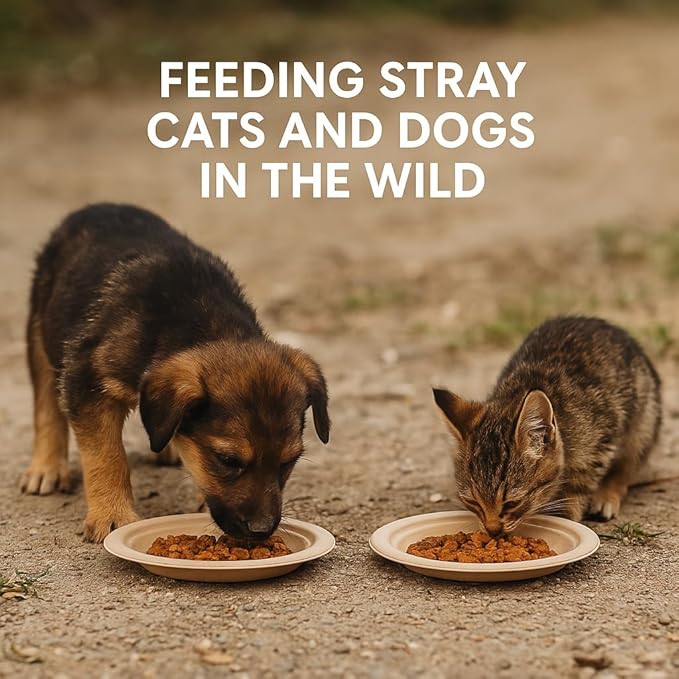 50PCS 6 Inch Disposable Pet Plates for Small Animals, Cats & Puppies, Travel Cat Bowls & Puppy Bowls for Litter, Outdoor Feeding & Travel Pet Food Container, Outdoor Pet Essentials