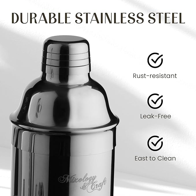 Mixology & Craft Cocktail Shaker Set with Stainless Steel Stand - 9-Piece Bartender Kit with Recipe Cards - Cocktail Mixer & Barware Tool Set