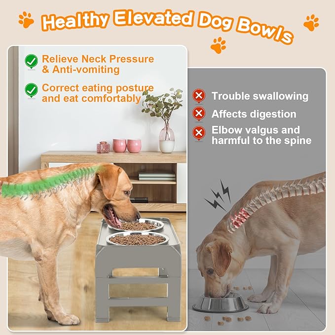 Elevated Bowls, 4 Height Adjustable Raised Stand - Image 3