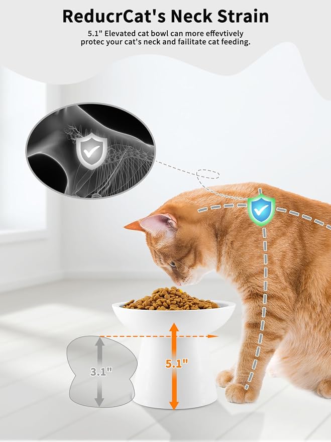 LoeJan Elevated Food and Water Bowls Set, Extra Wide and Raised Ceramic Feeder - Image 3