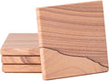 Thirstystone Sandstone Cinnabar Coasters | Protective Cork Backing, Eco-Friendly by Thirstystone