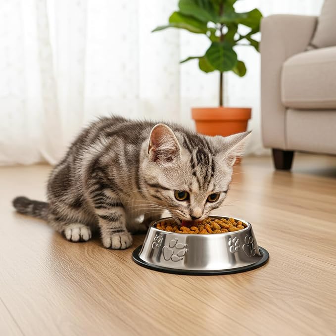 10 Pack Stainless Steel Cat Bowl, 7 Oz Mini Shallow Puppy Pet Bowls with Rubber Base, Stackable Dog Food Water Feeding Dish for Indoor Kitten Small Dog (XS)