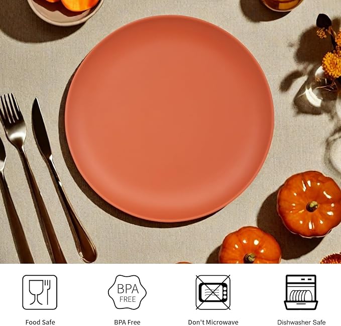 TP 10" Plate Set, 6-Piece Melamine Round Dinner Plates, Unbreakable Weighty Serving Dishes for Home, Outdoor Party, Restaurants, Orange