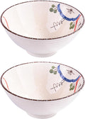 Ceramic Ramen Bowls Set of 2, 8.3 Inch Large Japanese Noodle Bowl by Whitenesser