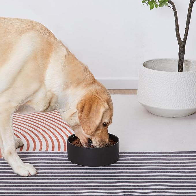 6'' Ceramic Dog Bowl - 30Oz Classic Dogs Food & Water Bowl for Small and Medium Breed Dogs, Heavy Duty Non-Slip Dog Dishes, Food Grade Stoneware Pet Bowl, Dishwasher & Microwave Safe, Black