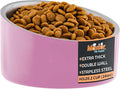 Master Pet Supply Stainless Steel Slanted Dog Cat Food Bowl - 16 oz Heavy Duty - Hyper Pink, Double Wall Insulated, Non-Slip Elevated Bowl for French Bulldogs Pugs Cats, Anti Rust Dishwasher Safe