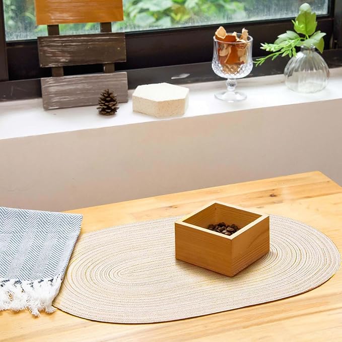 Noctiflorous Oval Braided Placemats Set of 8 Woven 12x18 Inch Non Slip Washable Heat Resistant Place Mats Round Tablemats for Dining Kitchen Party Daily Table Decor Dinner Mats (Beige, 8)