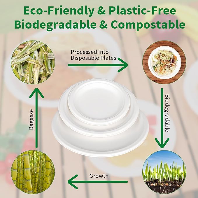 Aricsen 100 Pack 7 Inch Compostable Disposable Round Paper Plates, Natural White Biodegradable Sugarcane Bagasse PFAS-Free Eco-Friendly Dinner Plates for Party Wedding Picnic BBQ (100, 7 INCH)