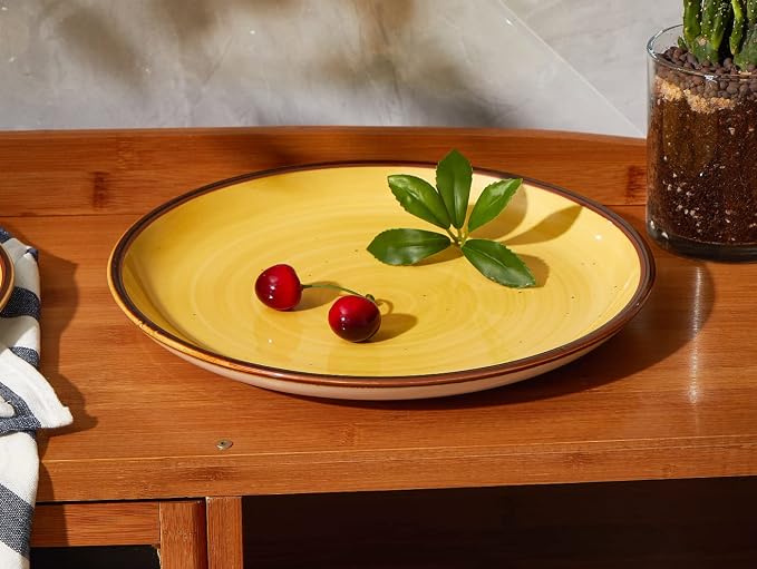 ONEMORE Porcelain Plates Set 10.5 inch Large Dinner Plates - Image 4