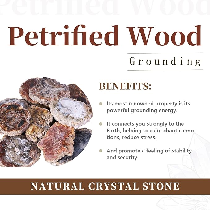 rockcloud 3.3-5" Natural Irregular Petrified Wood Stones Coaster Cup Mat Chakra Healing Stone Specimen 1 PC