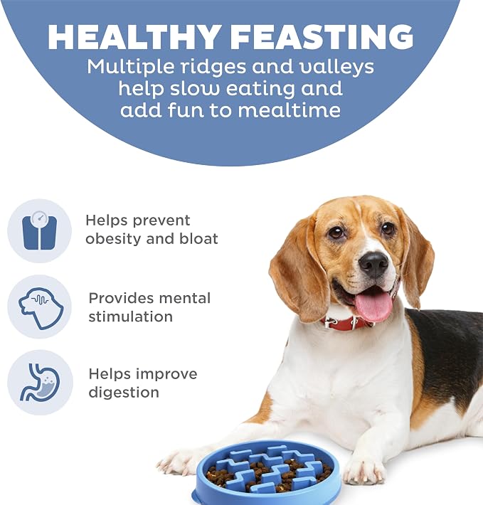 Outward Hound Fun Feeder Slo Bowl – Medium 2‑Cup Capacity, Slow Feeding - Image 2