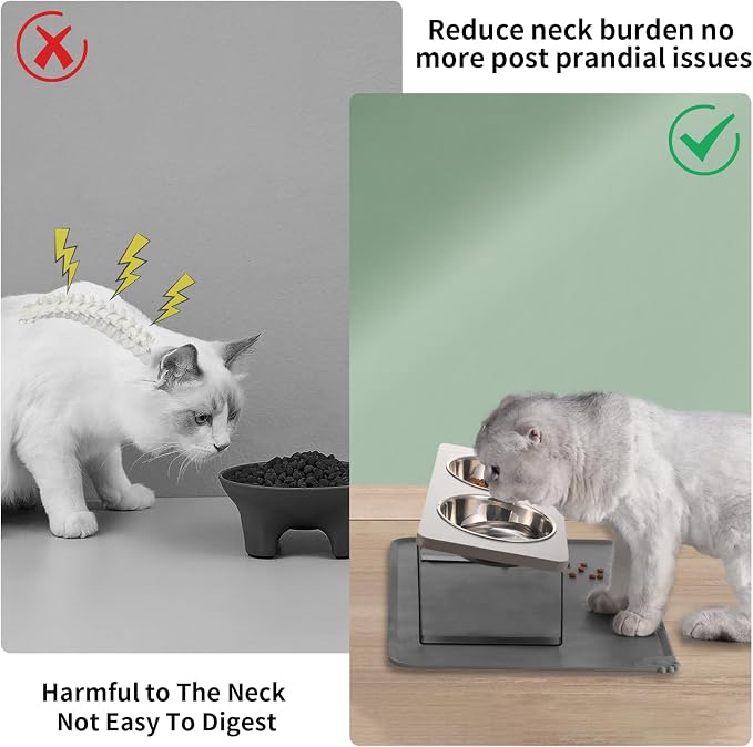 Summark Upgraded Elevated Cat Bowls - Image 2