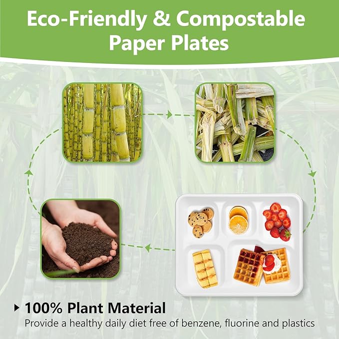 Compostable 5 Compartment Plates Disposable, 10.25 x 8.25 inch, 125 Pack Divided Paper Plates Heavy Duty, Biodegradable Eco-Friendly Bagasse Sectional School Lunch Trays, White 10 inch