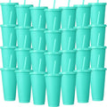 Honeydak 60 Pack Tumbler with Straw and Lid Bulk Cups by Honeydak