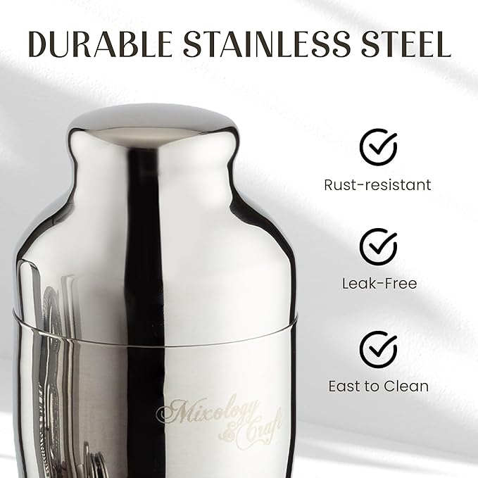 Mixology & Craft Cocktail Shaker Set with Dark Bamboo Stand - Professional 18oz 10-Piece Bartender Kit - Complete Bar Set & Cocktail Mixer Kit for Home (Silver)
