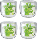 ZWILLING Sorrento 4 -pc Double-Wall Glass Tea Cup Set by Zwilling