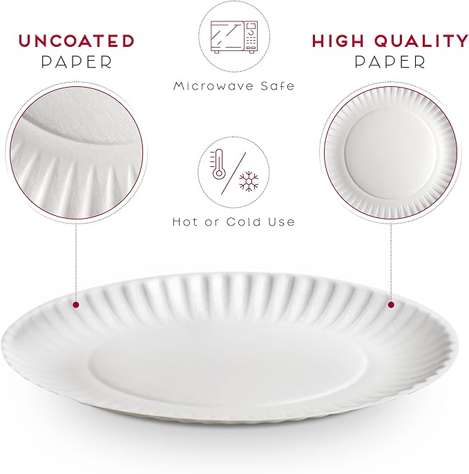 9-Inch Disposable Paper Plates - 300 Count - Bulk Pack of Uncoated Paper Plates for Everyday Use - Dinnerware for Meals, Parties And Picnics