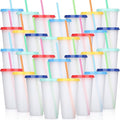Honeydak 30 Pack Tumbler with Straw and Lid Bulk Cups by Honeydak