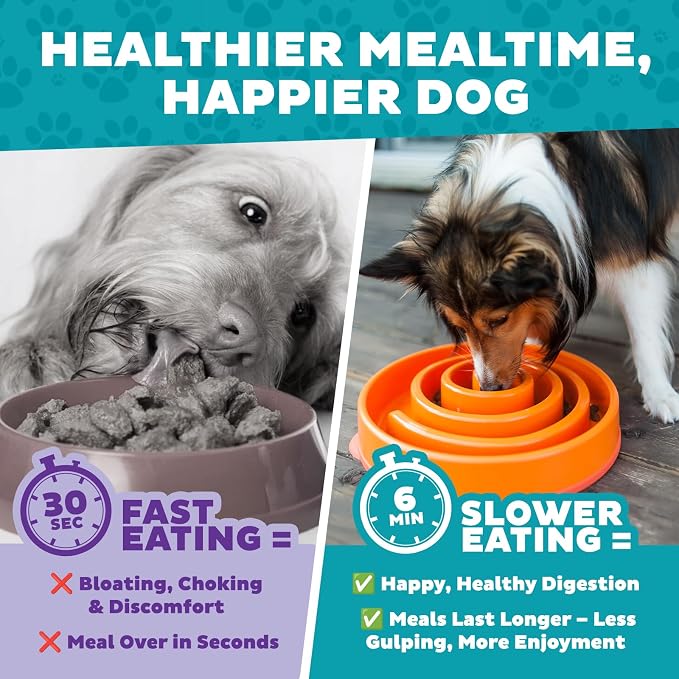 Outward Hound Fun Feeder Slo Bowl – Large 4‑Cup Capacity, Slow Feeding - Image 8