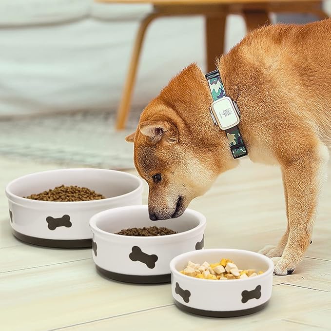 Sweejar Ceramic Dog Bowls with Bone Pattern, Dog Food Dish for Small Dogs, Porcelain Pet Bowl for Water 16 Fl Oz (White)