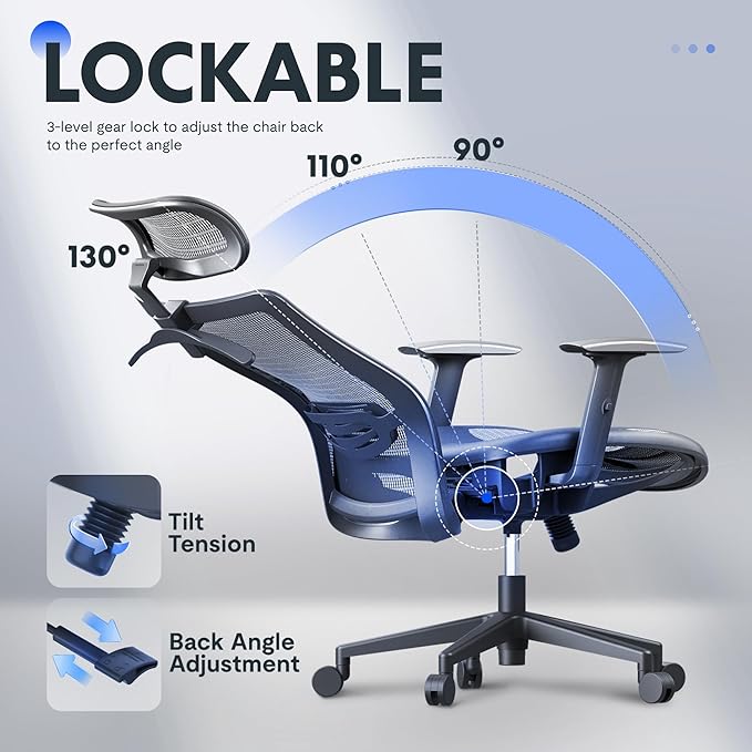 FLEXISPOT Ergonomic Office Chair, High Back Mesh Swivel Computer Chair, Executive Office Desk Chairs, with Adjustable Lumbar Support/2D Headrest/Lockable Backrest, OC3 Mesh Seat, Gray